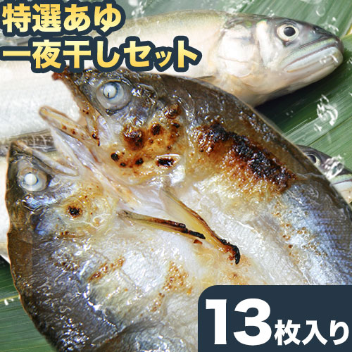 「旨いはずです。」特選あゆ一夜干しセット(13枚入) 日高川漁業協同組合《90日以内に出荷予定(土日祝除く)》 和歌山県 日高川町 あゆ 鮎 魚 一夜干し 558950 - 和歌山県日高川町