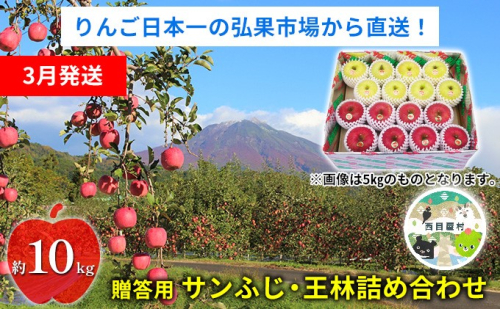 【3月発送】贈答用 サンふじ・王林詰め合わせ 約10kg【青森りんご】 果物 果実 フルーツ 新鮮 美味しい 自然環境 赤い 黄色い 太陽 ジューシー 芳香 セット 贈り物 ギフト  559697 - 青森県西目屋村