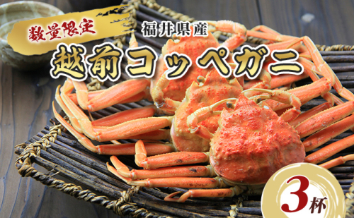 数量限定!福井県産 越前コッペガニ3杯 海鮮 海の幸 甲殻類 お祝い 正月 年末年始 ボイル 急速冷凍 セイコガニ 559943 - 福井県おおい町