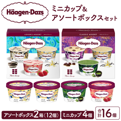ハーゲンダッツ バラエティセット(アソート＆ミニカップ) アイス スイーツ デザート_H0026-026 559951 - 北海道浜中町