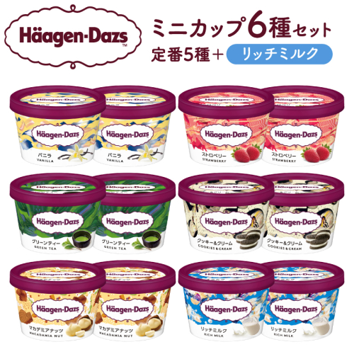 ハーゲンダッツ『ミニカップ12個セット（定番フレーバー＆リッチミルク味）』アイスクリーム アイス スイーツ デザート_440303 559956 - 北海道浜中町