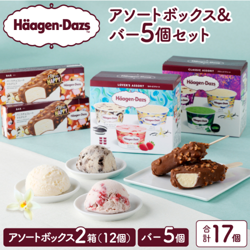 ハーゲンダッツバラエティセット(アソート＆バー5本)_H0026-028 559982 - 北海道浜中町