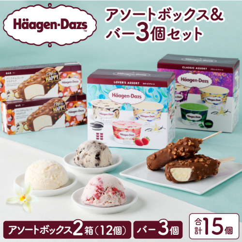 ハーゲンダッツ バラエティセット(アソート＆バー3本) アイス スイーツ デザート_H0026-027 559985 - 北海道浜中町