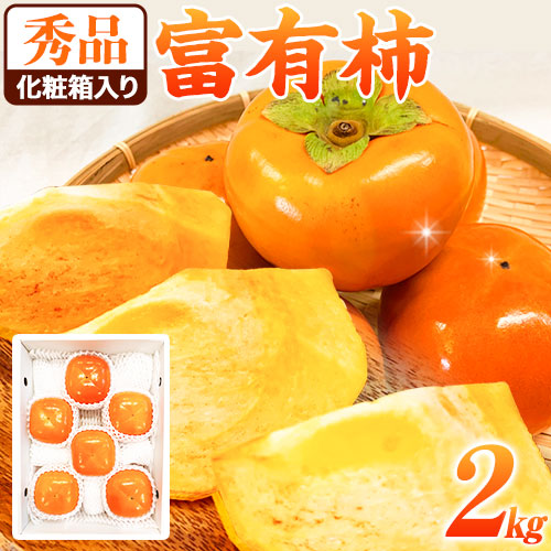 ＜先行予約＞秀品 和歌山 秋の味覚 富有柿 約2kg 化粧箱入 株式会社魚鶴商店《2025年11月上旬-12月上旬頃出荷》和歌山県 日高町 柿 富有柿 フルーツ 559996 - 和歌山県日高町