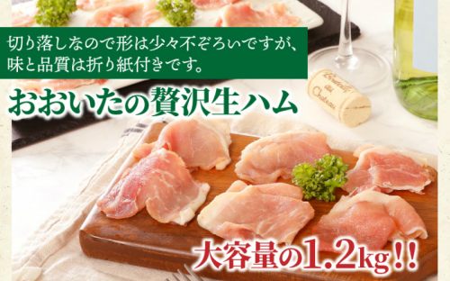 おおいたの贅沢生ハムを大容量の1.2kg‼_0245N 56054 - 大分県国東市