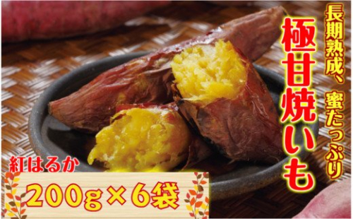 長期熟成！極甘しっとり焼き芋/紅はるか1.2kg_1782R 56074 - 大分県国東市