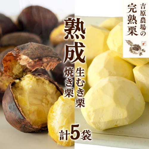 【 吉原農場 の 完熟栗 】 熟成 生むき栗 3袋 ・ 焼き栗 2袋 セット 令和7年産 完熟 栗 くり クリ 栗ごはん 贈答 ギフト 果物 フルーツ 数量限定 旬 秋 冬 正月 おせち [CX009ci] 560769 - 茨城県筑西市