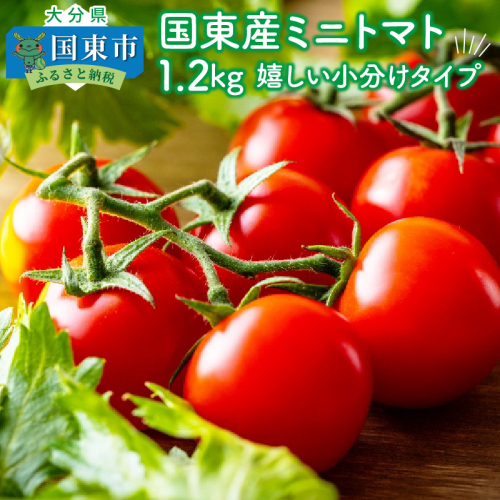 国東産ミニトマト1.2kg※嬉しい小分けタイプ_1053R 56104 - 大分県国東市