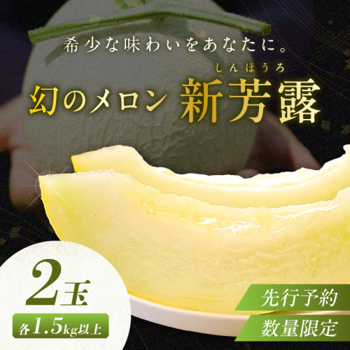 【先行予約／数量限定200】幻のメロン 新芳露 2玉（2025年7月中旬～発送）
 561781 - 京都府京丹後市