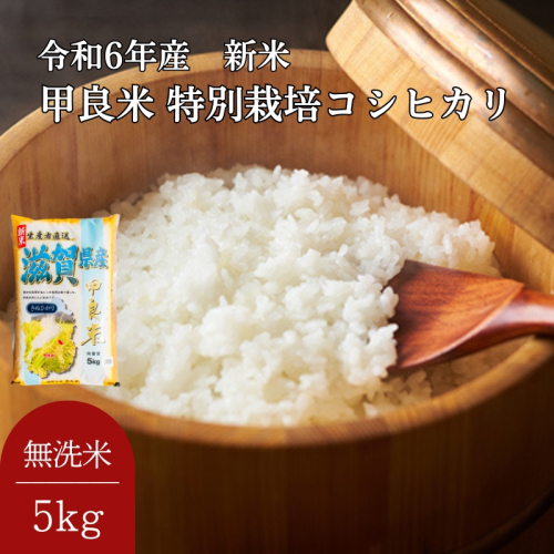 400個限定【令和7年産新米】甲良米 特別栽培コシヒカリ 無洗米 5kg お米 ライス ご飯 ブランド米 銘柄米 お弁当 おにぎり 直送 主食 炭水化物 特別栽培米 時短  564104 - 滋賀県甲良町