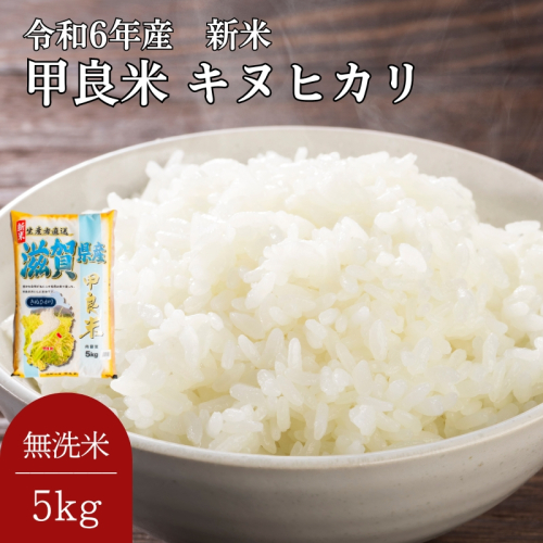 400個限定【令和7年産新米】甲良米 キヌヒカリ 無洗米 5kg 564108 - 滋賀県甲良町
