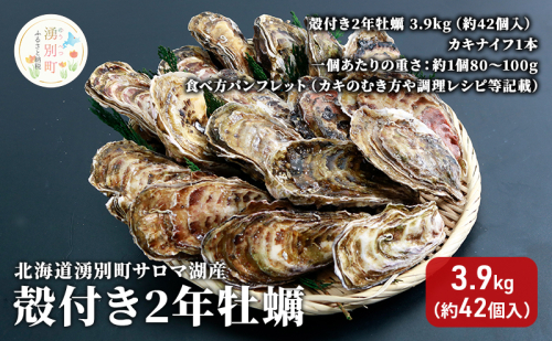 北海道 湧別町 サロマ湖産　殻付き2年 牡蠣 3.6kg(約38個入) カキ 魚貝類 生牡蠣 海鮮 国産 海のミルク 海の幸 身入りが良い つまみ 肴 あて北海道産 生食可 生食 牡蠣ナイフ付き  566452 - 北海道湧別町