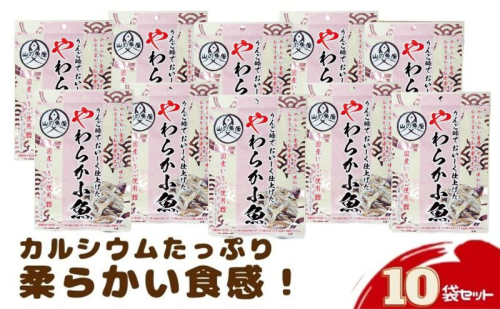 「りんご酢でおいしく仕上げたやわらか小魚」42g×10袋セット お菓子 566525 - 群馬県東吾妻町