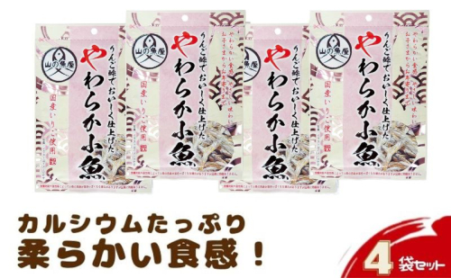 「りんご酢でおいしく仕上げたやわらか小魚」42g×4袋セット お菓子 566526 - 群馬県東吾妻町