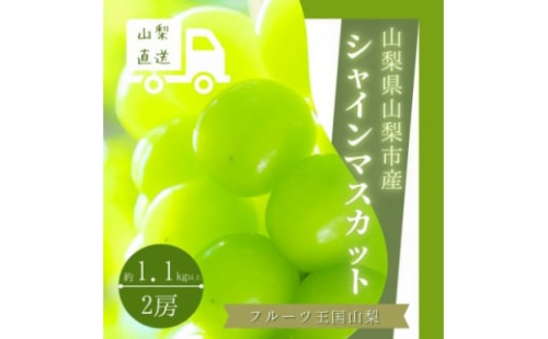 シャインマスカット 2房 1.1kg以上 山梨県 山梨市産【1364649】