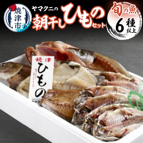 a15-383　【チルドでお届け】朝干しひものセット6種以上！ 56869 - 静岡県焼津市