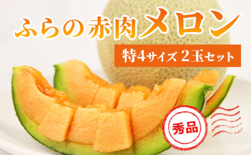 【 2025年発送 先行予約 】 ふらの 赤肉メロン 2kg～2.6kg 2玉 厳選 秀品 特4サイズ セット めろん 果物 フルーツ デザート くだもの 旬の果物 旬のフルーツ ファーム富良野 北海道 568982 - 北海道上富良野町