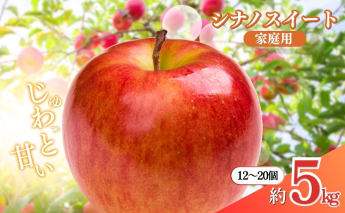 先行予約 長野市産シナノスイート家庭用 約5kg 2025年10月中旬～11月中旬発送 ※オンライン決済限定 果物 フルーツ デザート 食後 おやつ 長野県産 信州 甘い 交配品種 酸味が少ない りんご  574376 - 長野県長野市
