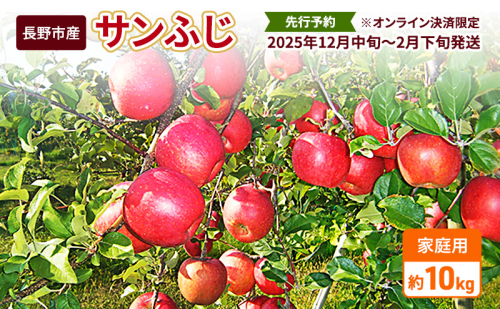 先行予約 長野市産サンふじ家庭用 約10kg 2025年12月～2026年3月発送　※オンライン決済限定 果物 フルーツ デザート 食後 おやつ 長野県産 信州 りんご 代表品種 濃厚  574377 - 長野県長野市