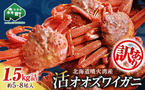 【訳あり】北海道噴火湾産 活オオズワイガニ1.5kg ＜道産ネットミツハシ＞ かに カニ 蟹 ガニ がに 森町 ふるさと納税 北海道 ずわいがに mr1-0601-5 575421 - 北海道森町
