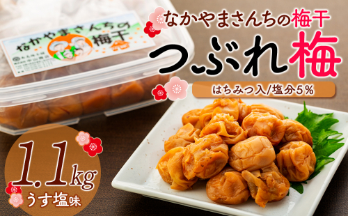 【訳あり】【つぶれ梅】なかやまさんちの梅干　うす塩（はちみつ入）塩分5％　（1.1kg×1箱）
 575491 - 和歌山県上富田町