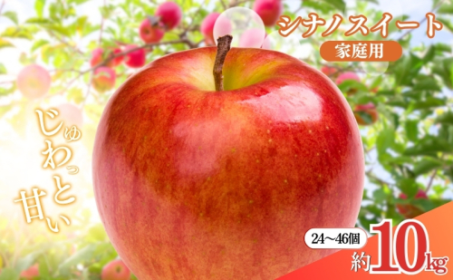 先行予約 長野市産シナノスイート家庭用 約10kg 2025年10月下旬より順次発送 ※オンライン決済限定 果物 フルーツ デザート 食後 おやつ 長野県産 信州 甘い 交配品種 酸味が少ない りんご  576386 - 長野県長野市