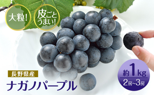 ぶどう 先行予約 長野市産 ナガノパープル 皮ごとうまい! 大粒2~3房 約1kg 果物 ブドウ 葡萄 フルーツ デザート おやつ 種なし 大粒 信州 2025年秋発送 576684 - 長野県長野市