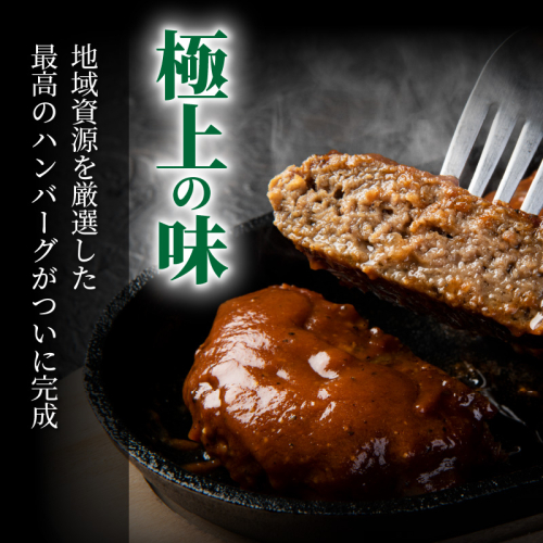 おおいたの魅力集結！大分の恵みハンバーグ 1.6kg（160g×10個） 576850 - 大分県国東市