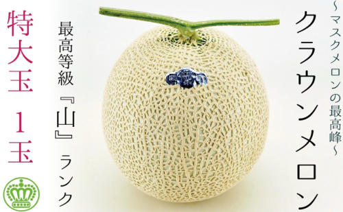 クラウンメロン（山級）特大玉  １玉　ギフト箱入り  57725 - 静岡県袋井市