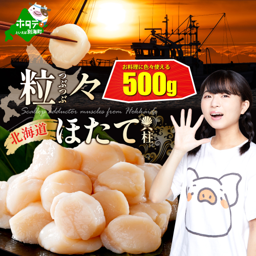 【訳あり】北海道 野付産 ほたて 500g 帆立 貝柱 ホタテ 貝柱 577789 - 北海道別海町