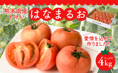 【先行予約】 熊本県産 トマト はなまるお 4kg トマト とまと 新鮮 サラダ 野菜 やさい 八代市産 九州 【2025年12月中旬より順次発送】 578223 - 熊本県八代市
