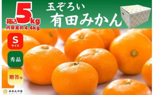 みかん Ｓサイズ 秀品 箱込 5kg (内容量約 4.4kg) 有田みかん 和歌山県産 産地直送 贈答用 ［2025年11月中旬より2026年1月中旬頃順次出荷予定］［みかんの会］ 578775 - 和歌山県有田川町