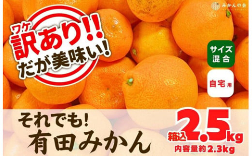 訳あり それでも 有田みかん 箱込 2.5kg (内容量約 2.3kg) サイズミックス B品 有田みかん 和歌山県産 産地直送 家庭用［2025年11月中旬より2026年1月中旬頃順次出荷予定］［みかんの会］ 578778 - 和歌山県有田川町
