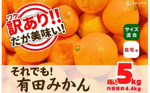 訳あり それでも 有田みかん 箱込 5kg (内容量約 4.4kg)  サイズミックス B品 有田みかん 和歌山県産 産地直送 家庭用［2025年11月中旬より2026年1月中旬頃順次出荷予定］［みかんの会］ 578780 - 和歌山県有田川町