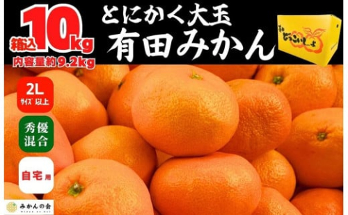 みかん 大玉 どっこいしょ 箱込 10kg ( 内容量約 9.2kg ) 2Lサイズ以上 秀品 優品 混合 有田みかん 和歌山県産 産地直送 家庭用［2025年11月中旬より2026年1月中旬頃順次出荷予定］［みかんの会］ 578787 - 和歌山県有田川町