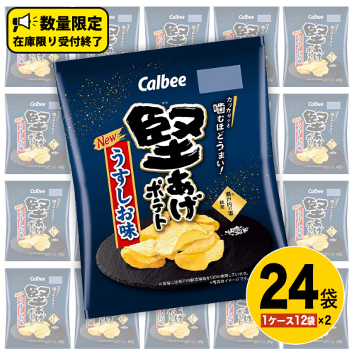 カルビー 堅あげポテト うすしお味 24袋 ( 2ケース ) 65g ポテチ お菓子 おかし 大量 スナック おつまみ ジャガイモ じゃがいも まとめ買い 数量限定 579084 - 茨城県牛久市