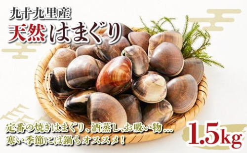 九十九里産 大粒 天然はまぐり1.5kg ふるさと納税 はまぐり 蛤 天然 焼きはま 網焼き 酒蒸し お吸い物 お祝い パエリア 和食 活はまぐり 川喜屋水産 節句 ひな祭り ひなまつり 手土産 送料無料 SHF001