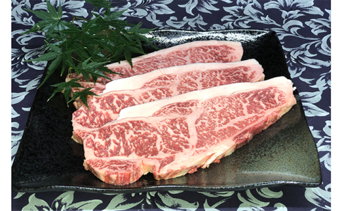 福井県のブランド牛 若狭牛 サーロインステーキ用 200g×3枚 牛肉 58233 - 福井県おおい町