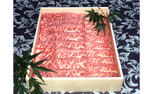 福井県のブランド牛 若狭牛 ローススライス 600g お肉 牛肉 58234 - 福井県おおい町