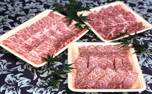福井県のブランド牛 若狭牛 焼肉セット 【 牛ロース 牛モモ 牛バラ 】 お肉 牛肉 58235 - 福井県おおい町