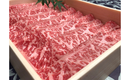 福井県のブランド牛 若狭牛 ローススライス 500g お肉 牛肉 58237 - 福井県おおい町