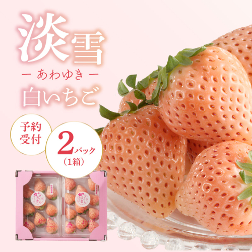 ★予約受付★杉山いちご農園 白いちご「淡雪（あわゆき）」2026年1月～5月中に順次配送 58271 - 佐賀県玄海町