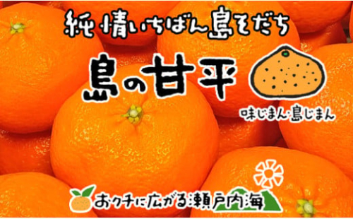 【2026年2月中旬から発送予定】希望の島 ジャンボ甘平 特大（6L以上） 約1kg（2玉） 化粧箱入 愛媛県産 柑橘 みかん