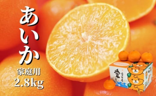 【先行予約】 【12月から順次発送】  愛果28号 約2.8kg（ご家庭用）| 愛果28号 まどんな 柑橘 みかん 紅まどんな と同一品種  果物  くだもの フルーツ 高級 人気 お取り寄せ グルメ ギフト 期間限定 数量限定 ご当地 愛媛県 松山