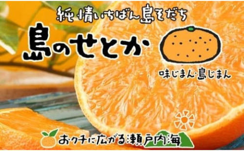 【2026年3月上旬から発送予定】 せとか 約 3kg 10玉 ~ 15玉 ( L ~ 3L ) 期間限定 愛媛県産 みかん 