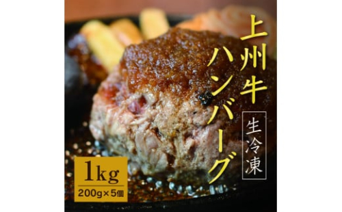  生冷凍 上州牛ハンバーグ 1kg（200g×5個）