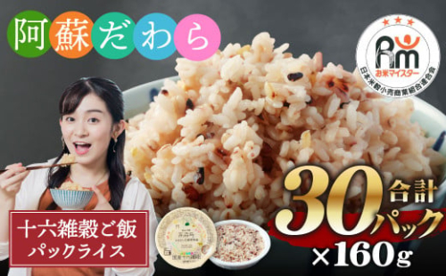 阿蘇だわら 十六雑穀ごはん パックライス 160g×30パック 国産 お米 米 もち玄米 雑穀米 おすすめ 人気 ランキング