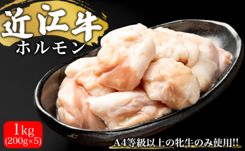 近江牛ホルモン　1kg（200g×5） お肉 牛肉 焼肉 バーベキュー もつ鍋  601241 - 滋賀県湖南市