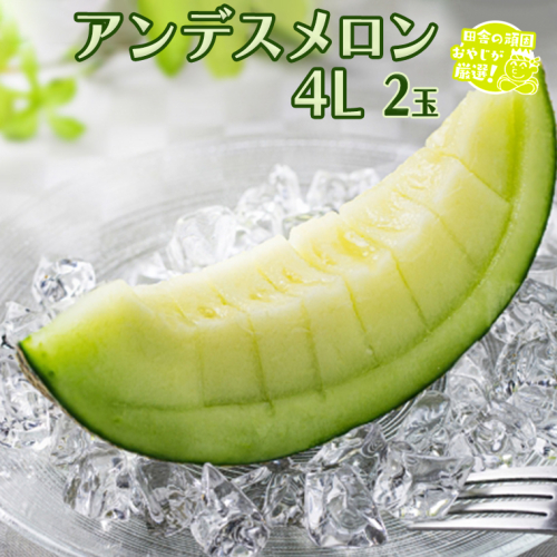アンデスメロン 4L 2個 【8月発送開始】 田舎の頑固おやじが厳選！   メロン ギフト 高糖度 大玉 甘い 美味しい フルーツ [BI253-NT] 601278 - 茨城県つくばみらい市