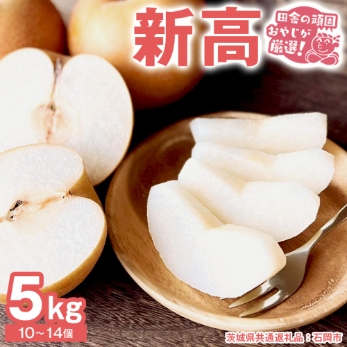 梨 新高 5kg（10〜14個）【2025年10月より発送開始】（茨城県共通返礼品 [梨]：大子町産）田舎の頑固おやじが厳選！ なし 新高梨 和梨 フルーツ 果物 くだもの 高糖度 ギフト 茨城 [BI306-NT] 602060 - 茨城県つくばみらい市